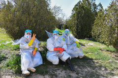 خاکسپاری غریبانه قربانیان کرونا