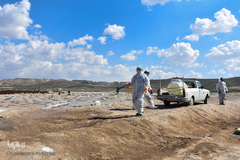 خاکسپاری غریبانه قربانیان کرونا