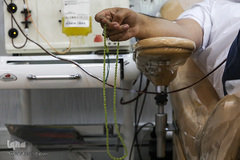 پویش «اهدای خون به عشق یک شهید»