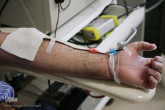 پلاسما درمانی، راهکاری برای بهبود بیماران کرونایی