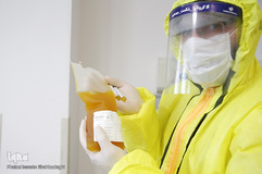 پلاسما درمانی، راهکاری برای بهبود بیماران کرونایی