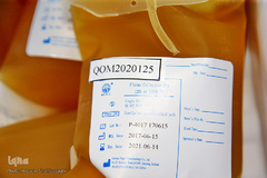 پلاسما درمانی، راهکاری برای بهبود بیماران کرونایی