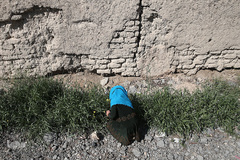 توزیع بسته های غذایی هم نمک میان اتباع خارجی نیازمند در روستای «سلمان آباد» کهریزک