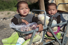 توزیع بسته های غذایی هم نمک میان اتباع خارجی نیازمند در روستای «سلمان آباد» کهریزک