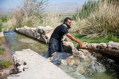 شستشو و پشم چینی بهاره در سروستان فارس