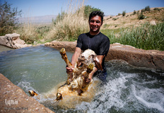 شستشو و پشم چینی بهاره در سروستان فارس
