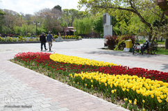 گلستان تبریز