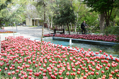 گلستان تبریز