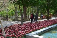 گلستان تبریز