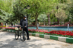 گلستان تبریز