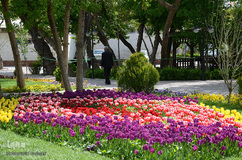 گلستان تبریز