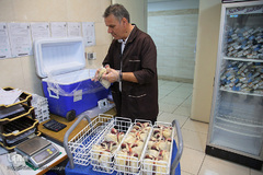 ماه رمضان فرصتی جهت اهدای خون