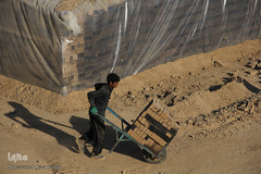 اینجا آجرها نان می‌شوند