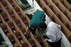 پویش کریمانه خانواده شریف