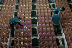 پویش کریمانه خانواده شریف