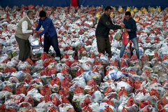 اعزام بسته های حمایتی خیریه آبشار عاطفه ها به مناطق محروم ۱۴استان کشور