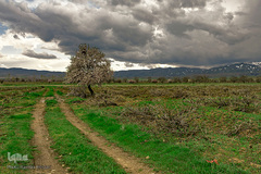 طبیعت بهاری صایین قلعه و داسداران