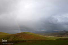 طبیعت بهاری صایین قلعه و داسداران