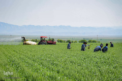 ارتباط تصویری هفت مجموعه تولیدی با رهبر معظم انقلاب