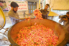 برداشت گل محمدی از مزارع موقوفه آستان مقدس حضرت معصومه(س)