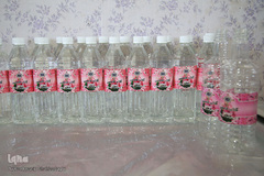 برداشت گل محمدی از مزارع موقوفه آستان مقدس حضرت معصومه(س)