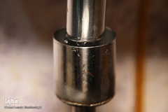 برداشت گل محمدی از مزارع موقوفه آستان مقدس حضرت معصومه(س)