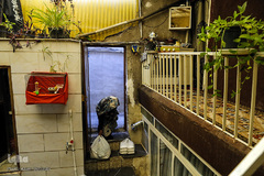 سفره همدلی