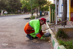 مدافعان پاکیزگی