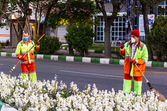 مدافعان پاکیزگی