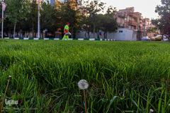 مدافعان پاکیزگی