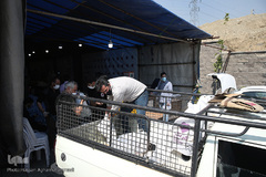 پویش کریمانه خیرین و اعضای داوطلب هم نمک