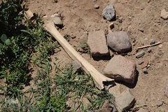 وضعیت نامطلوب قبرستان متروکه منطقه بهار اهر