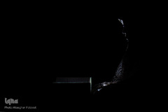 قرآن نور خانه