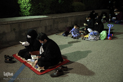 مراسم احیای شب نوزدهم ماه مبارک رمضان در مسجد دانشگاه تهران