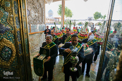 آیین گلاب شویی و تعویض گل ضریح مبارک حرم حضرت شاهچراغ (ع)