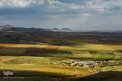 تازه‌شدن نفس طبیعت و حیات‌وحش زیر سایه شیوع کرونا