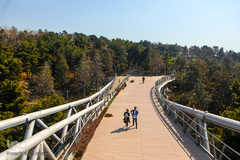 تازه‌شدن نفس طبیعت و حیات‌وحش زیر سایه شیوع کرونا