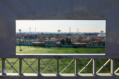 تازه‌شدن نفس طبیعت و حیات‌وحش زیر سایه شیوع کرونا