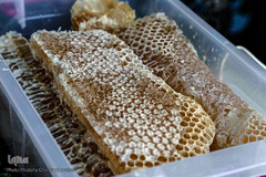 تولید زنبور عسل در منطقه ارسباران