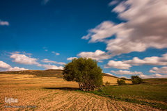 تالاب قوریگل