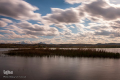 تالاب قوریگل