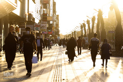 دست در دست کرونا ویروس