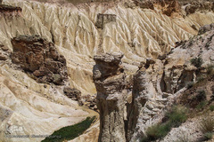 گنجینه ناشناخته در دل دره روستای زگلیک اهر