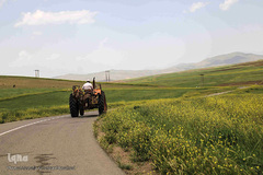 گنجینه ناشناخته در دل دره روستای زگلیک اهر