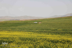 گنجینه ناشناخته در دل دره روستای زگلیک اهر
