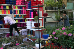 بازار گل شهید محلاتی در روز ملی گل