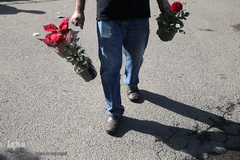 بازار گل شهید محلاتی در روز ملی گل