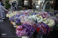 بازار گل شهید محلاتی در روز ملی گل