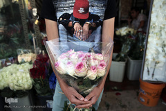 بازار گل شهید محلاتی در روز ملی گل