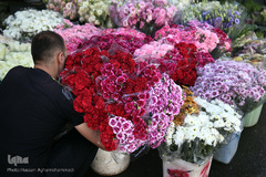 بازار گل شهید محلاتی در روز ملی گل